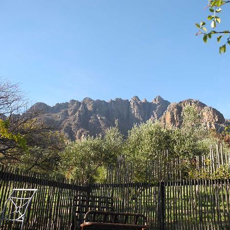 Amberg Country Estate Pensionat Paarl Rum bild