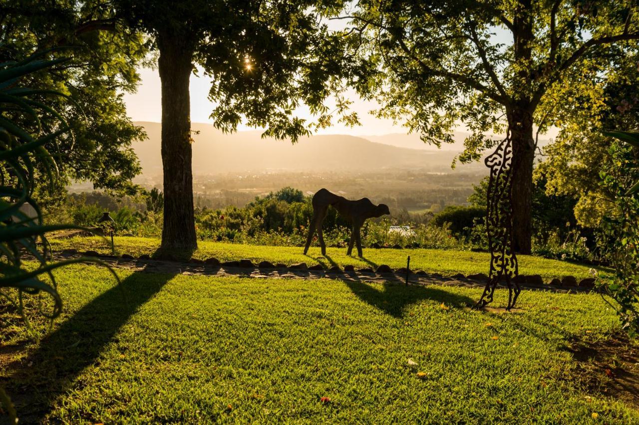 Amberg Country Estate Pensionat Paarl Exteriör bild